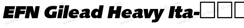 EFN Gilead Heavy Ita字体转换